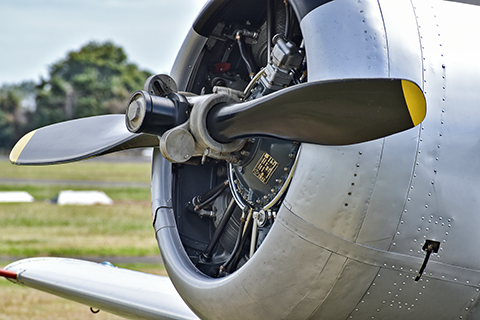 Radial Engine with Counterweight Propeller
